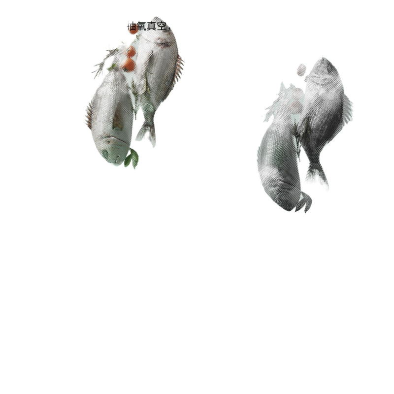 Mașină de vidat - automată, sigilare prin folie plastică, model 08888, pentru uz casnic, brand Sheng bangrong