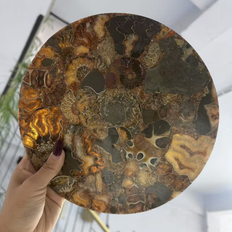 Prirodni kristalni amonitni disk – podmetač za čaj i Feng shui ukras s kompasom