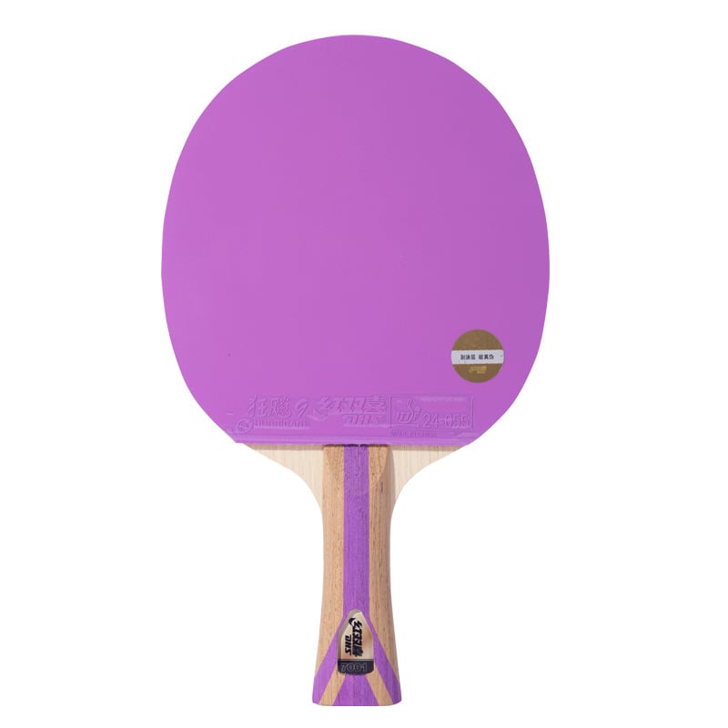 DHS ракетка за тенис на маса с карбонова платка, гума reverse-glue, H7001/H7004