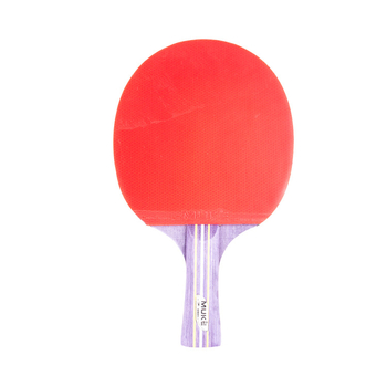 Reket za stolni tenis s poplar daskom, gumom s reverznim ljepilom, set od 2 reketa i 3 lopte, mogućnost prilagodbe, tiskano logo