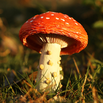 Ornament de grădină din rășină în formă de ciupercă pentru micro-peisaj, stil pastoral, manufactură semi-manuală și semi-mechanică