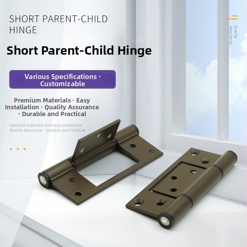 Ležajni pant za vrata, od aluminijske legure, premaz prahom, SE-01, Sai Lei