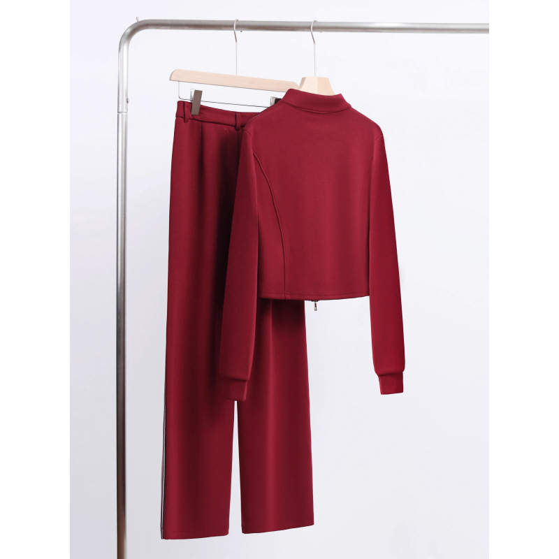 Ženski dvodijelni hlačasti kostim, akrilna tkanina, glavni materijal 95%+, dugi rukavi, gradski stil, casual