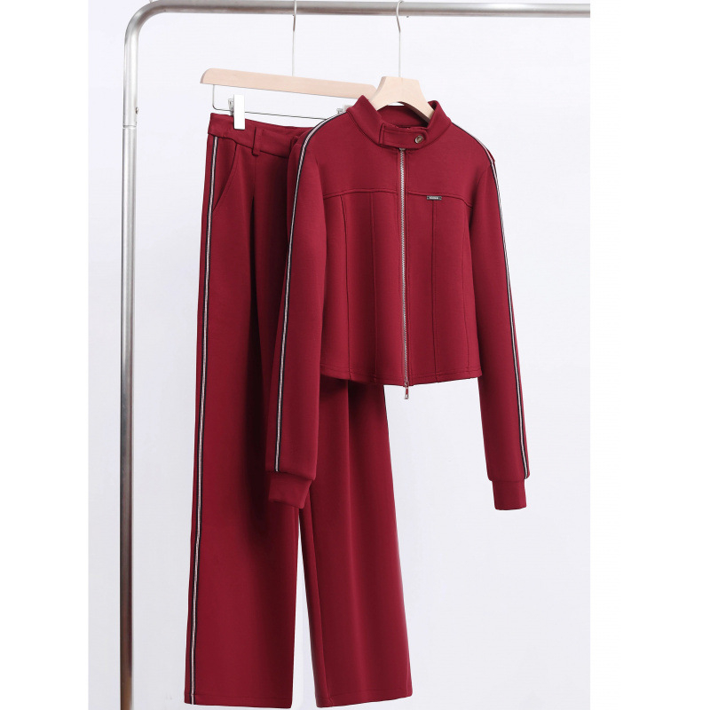 Ženski dvodijelni hlačasti kostim, akrilna tkanina, glavni materijal 95%+, dugi rukavi, gradski stil, casual