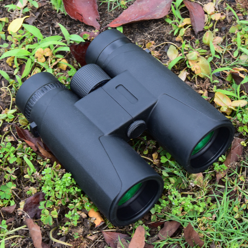 Binoclu 10x42: vedere zi-noapte, utilizare duală pentru observarea păsărilor și a Lunii în timpul călătoriilor în aer liber