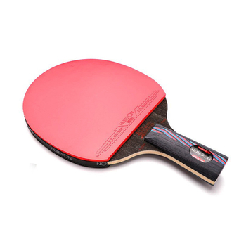 Raketa za stolni tenis Huisheng HuIESON — horizontalni udar, guma s obrnutim ljepilom, tiskano logo, privatna etiketa licencirana