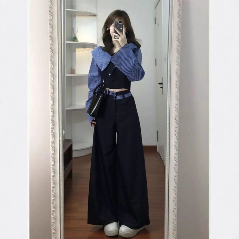 Ženski jesenski kostim-set u korejskom stilu, chic, 2025 nova kolekcija, elegantan komplet