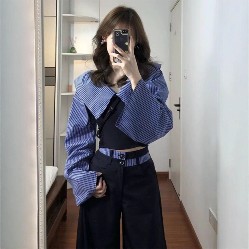 Ženski jesenski kostim-set u korejskom stilu, chic, 2025 nova kolekcija, elegantan komplet