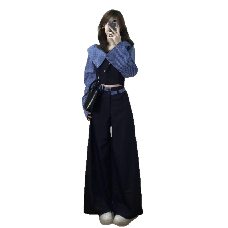 Ženski jesenski kostim-set u korejskom stilu, chic, 2025 nova kolekcija, elegantan komplet