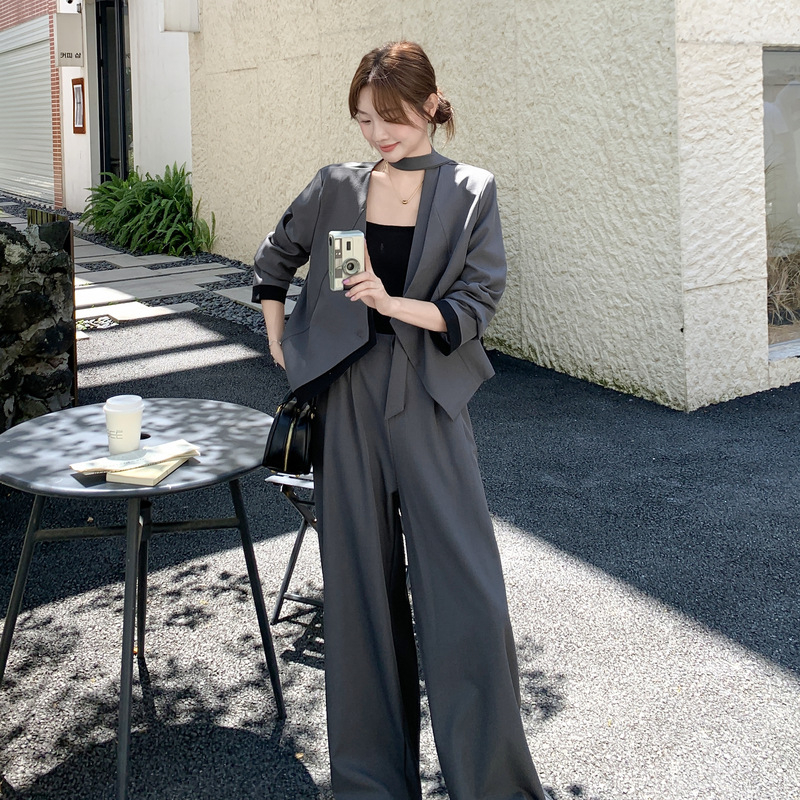 Siva ženska dvodijelna suknja s širokim hlačama, japansko-korejski stil, jesen 2025; Materijal: poliester; Glavni materijal: 70-80% poliester; Ime vlakna: poliester vlakno; Stil: japansko-korejski ležerni stil; Kostim: hlačasti kostim