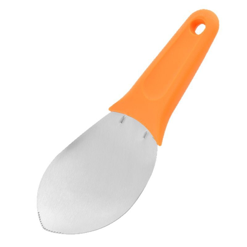 Nerđajući čelik voćni dijeljitelj s nožem za mango, ogulivačem, žlicom za meso i kockastim rezačem; moguć ispis logotipa