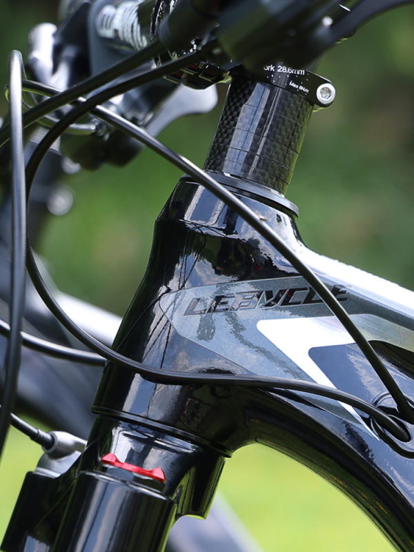 Σετ σωλήνων καλωδίων για ποδήλατο βουνού – μέταλλο, Lebycle, προσαρμογή κατά παραγγελία, καθολικό για άνδρες και γυναίκες, μη εισαγόμενο