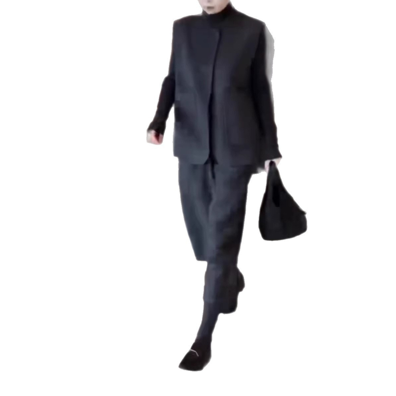 Ženski set: prsluk i hlače, bez rukava, hlače 7/8 duljine, poliester, elegantan gradski stil, jesen-zima
