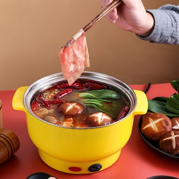 Električna posuda za kuhanje s kapacitetom 2-3 L, unutarnja posuda od nehrđajućeg čelika, snaga 801-1000 W, regulacija temperature i zaštita od presušivanja