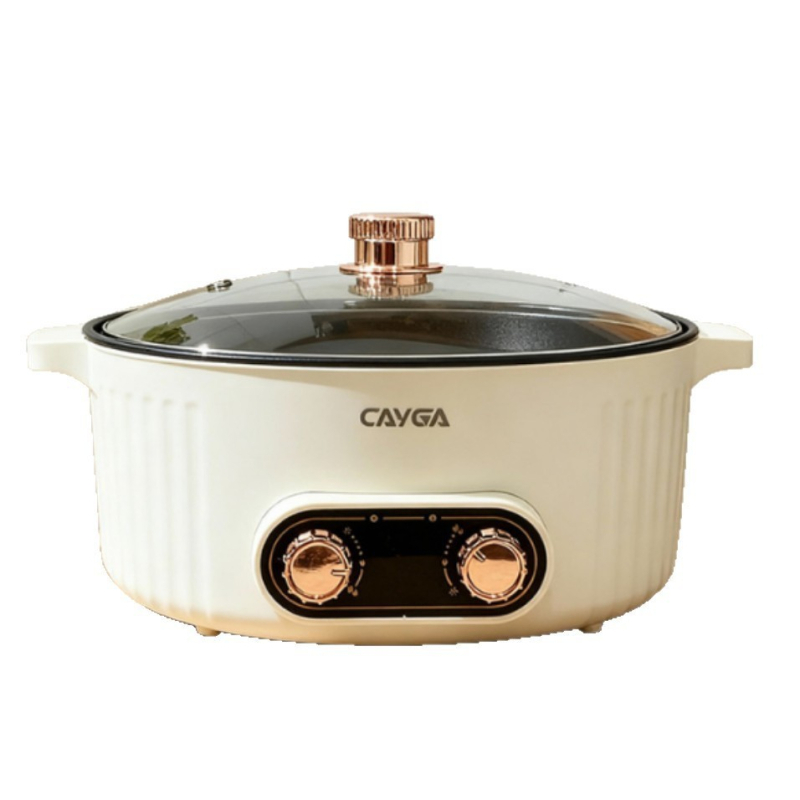 Električna posuda za fondue sa četiri odjeljka, dvostruki okus, 6 l, 110 V