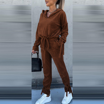 Ženski dvodijelni set od korejskog velura: hoodie s kapuljačom i hlače, jednofarbni uzorak, dugi rukavi, poliester 90–95%, jesen 2025