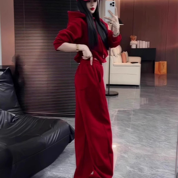 Ženski sportski set s hoodie od chenillea i spandexa, široke hlače, zima 2024