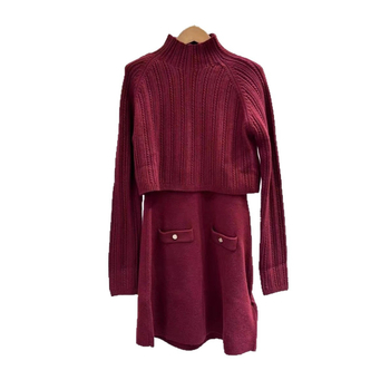 Set tricotat: top din tricot cu guler înalt și rochie fără mâneci, din tricot, lungime scurtă, toamnă 2025, stil casual de costum