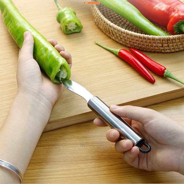 Nehrđajući čelik alat za uklanjanje sjemenki iz zelenih paprika i gorčkog dinje; kuhinjski gadget; moderan minimalistički dizajn; lansiran 2022