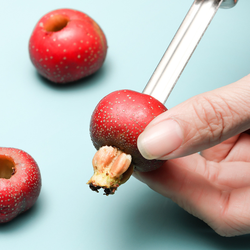 Alat za uklanjanje jezgre i sjemenki Hawthorn (Marka: Vanshi Powerful Factory; Kategorija: Alat za uklanjanje jezgre i sjemenki; Materijal: Drugo)