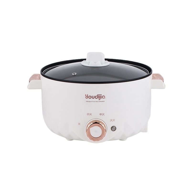 YOUDIJIA Električna posuda za kuhanje, do 800W, 110V, funkcije: para, piranje, prženje na tavi, kuhanje, dinstanje, hot pot i grill 2 u 1, pogodna za 2-3 osobe