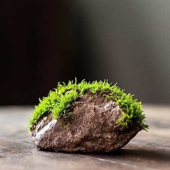 Декоративна водна композиция за бюро с бонсай — дзен микро пейзаж от копринени цветя