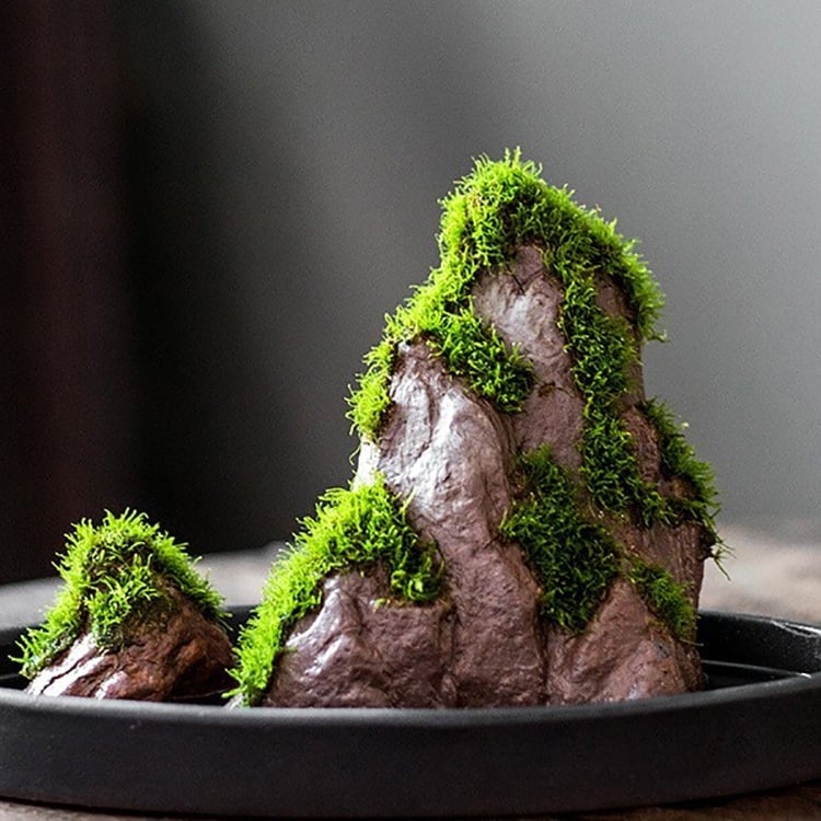 Декоративна водна композиция за бюро с бонсай — дзен микро пейзаж от копринени цветя