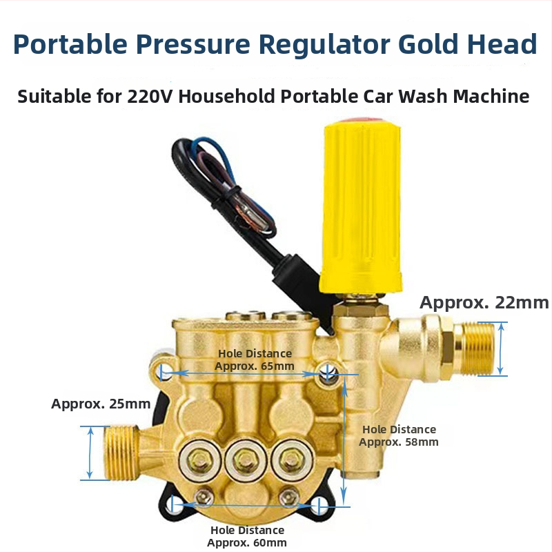 Cap de pompă pentru presiune înaltă portabil, din aluminiu turnat, 220V, cap de pompă cu piston