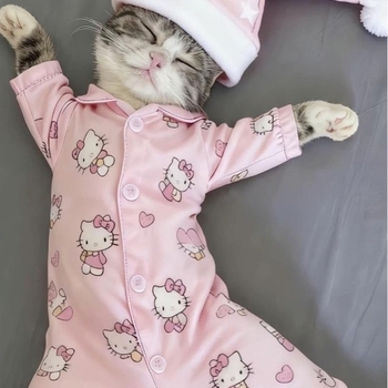 Zidna kutija za sapun sa suction cup, flip-top poklopac, ABS materijal, odvodnja