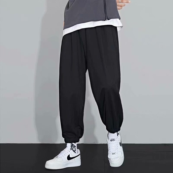Muške cropped sportske hlače, ležernog kroja, srednji struk, mješavina poliestera, elastičan materijal, manžetama na gležnjevima
