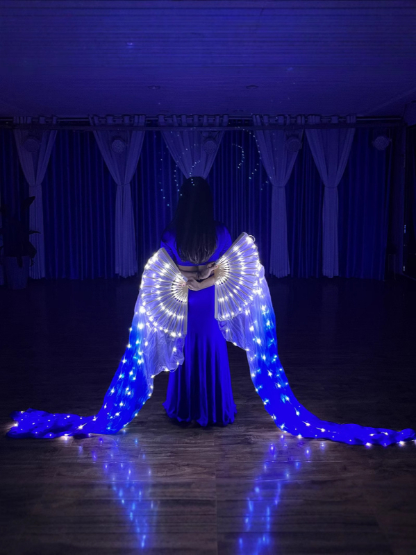 LED fan s Mulberry svilom i poliestrom, svjetleći niz, punjiv, za Belly Dance, žene