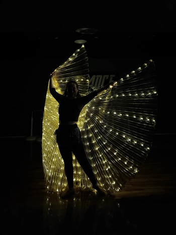 LED svjetleća krila leptira - scenska rekvizita za belly dance, unisex, poliester, proljeće 2022, brend Excellent Core