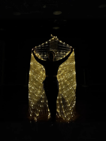 LED svjetleća krila leptira - scenska rekvizita za belly dance, unisex, poliester, proljeće 2022, brend Excellent Core