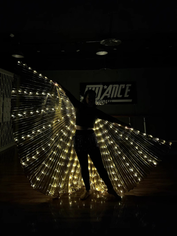 LED svjetleća krila leptira - scenska rekvizita za belly dance, unisex, poliester, proljeće 2022, brend Excellent Core
