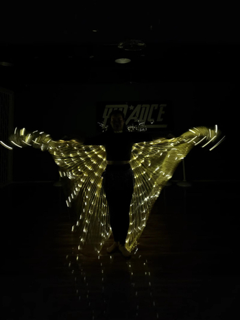 LED svjetleća krila leptira - scenska rekvizita za belly dance, unisex, poliester, proljeće 2022, brend Excellent Core