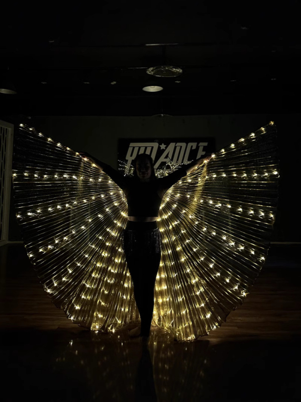 LED svjetleća krila leptira - scenska rekvizita za belly dance, unisex, poliester, proljeće 2022, brend Excellent Core