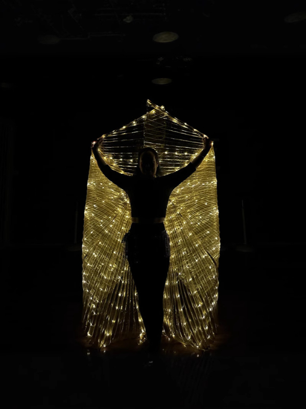 LED svjetleća krila leptira - scenska rekvizita za belly dance, unisex, poliester, proljeće 2022, brend Excellent Core