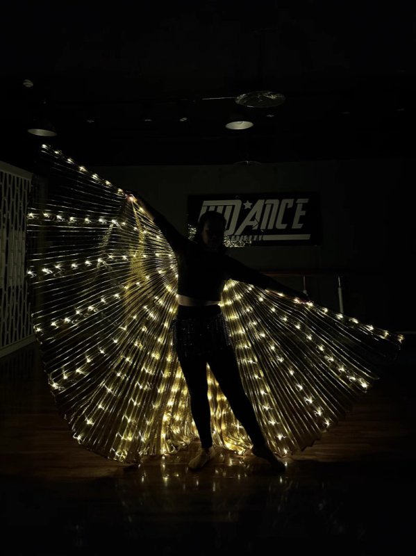 LED svjetleća krila leptira - scenska rekvizita za belly dance, unisex, poliester, proljeće 2022, brend Excellent Core