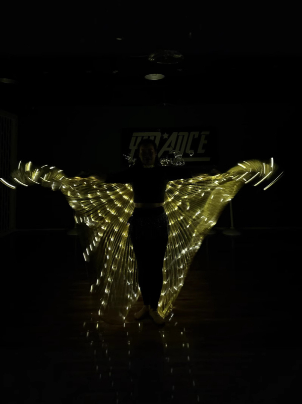 LED svjetleća krila leptira - scenska rekvizita za belly dance, unisex, poliester, proljeće 2022, brend Excellent Core