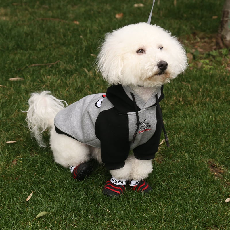 PU Παπούτσια για Σκύλους, Χαλαρό Στυλ, Θερμική Λειτουργία