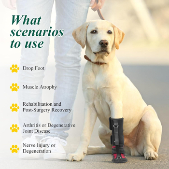 Καουτσούκ Παπούτσια για Σκύλους – Αδιάβροτα, Αντιολίσθηση, Ανθεκτικά στη Φθορά, Διαπνέοντα