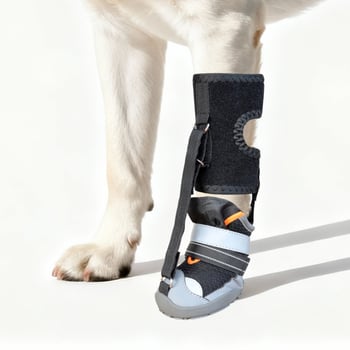 Παπούτσια σκύλου με προστασία πατουών, ζεστά, αδιάβροχα, αντιολισθητικά, ανθεκτικά με σκληρή σόλα