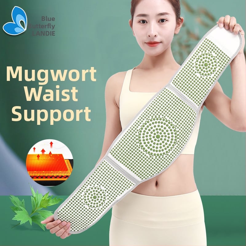 Mugwort deréköv férfiak és nők számára, téli meleg a has és a derék környékére, gyömbérhabos kötött anyag és bambusz szénvédő