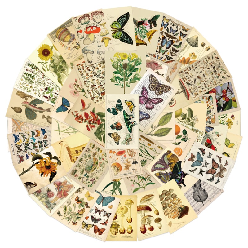 50 retro matricák pillangó- és növénymotívummal naplóhoz, telefontokhoz és iPad-dekorációhoz; vízálló, ragadós, nyomtatott