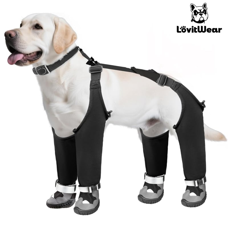 Lovitwear Kutyacipő Velvet bélésű, gumitalpú, vízálló, csúszásmentes, melegen tart