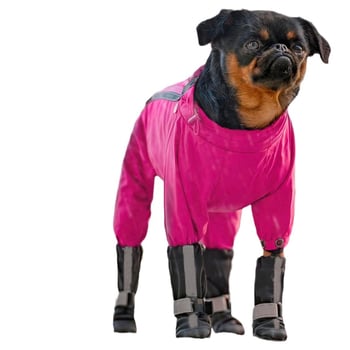 Voyagerpet Kutya Cipő - Szövet, Vízálló, Csúszásmentes, Meleg, Kopásálló