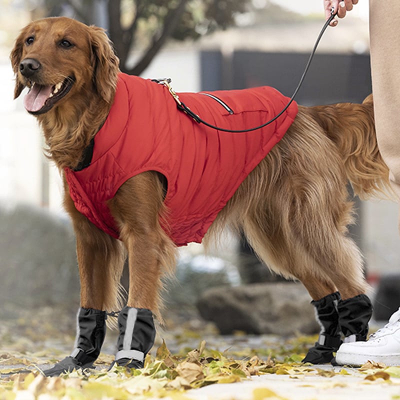 Voyagerpet Kutya Cipő - Szövet, Vízálló, Csúszásmentes, Meleg, Kopásálló