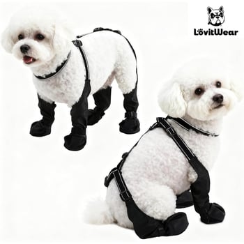 Kutyacipő Casual | Poliészter, Vízálló, Csúszásmentes, Meleg, Kopásálló