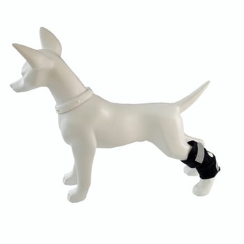 Kutya térdnyereg hátsó láb sérülésének felépüléséhez | poliészter rost | általános használat | laza stílus