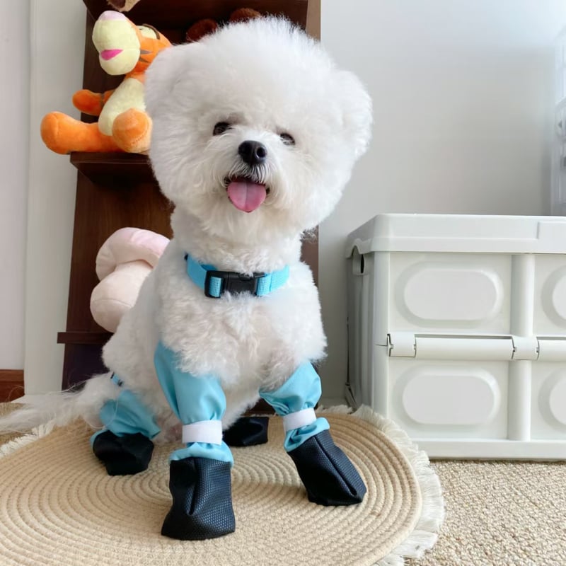 Gyapjúból készült kutyacipő – csúszásbiztos, kopásálló, univerzális használat, Pretty Pet